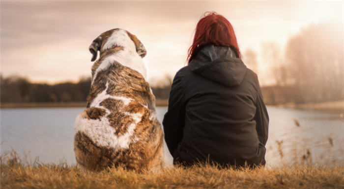 Wenn Sie oder Ihr Partner die Beziehung emotional verlassen …